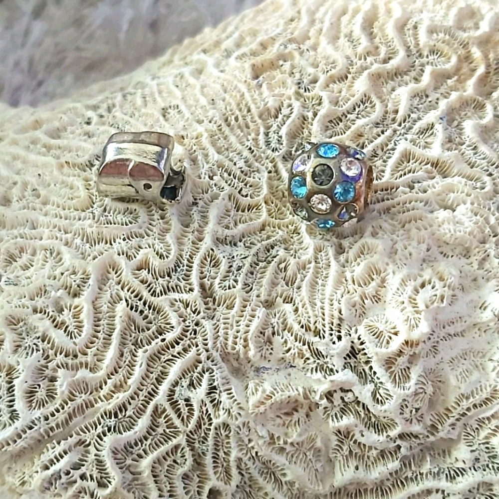 💝💝💝Silver Charms